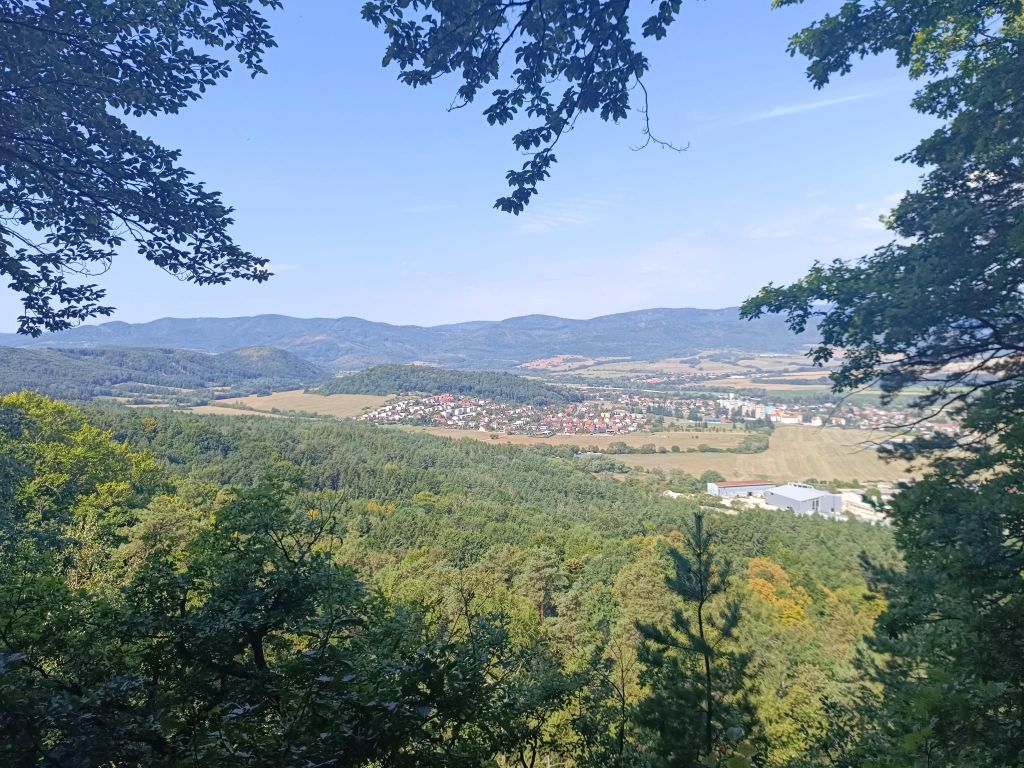 Bralce (with David)