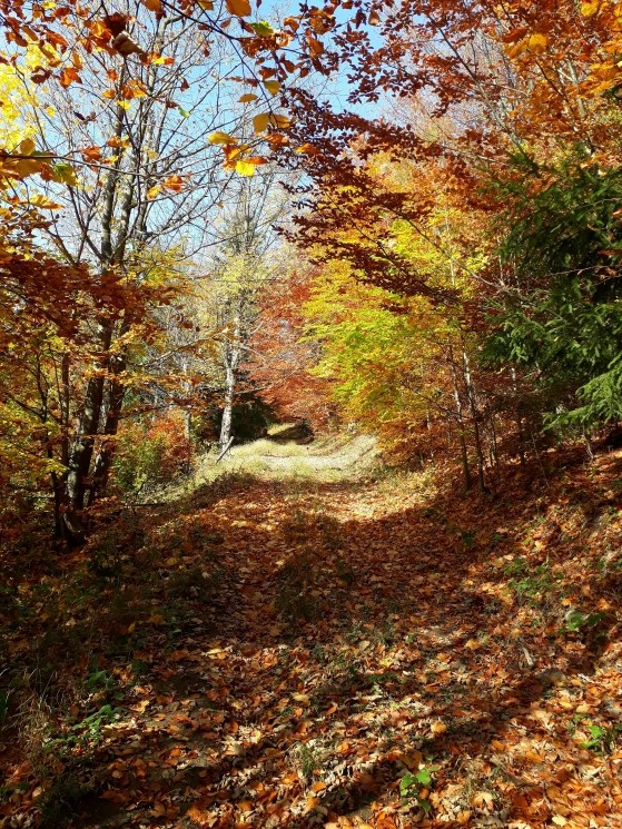 From Badín to Horné&nbsp;Pršany