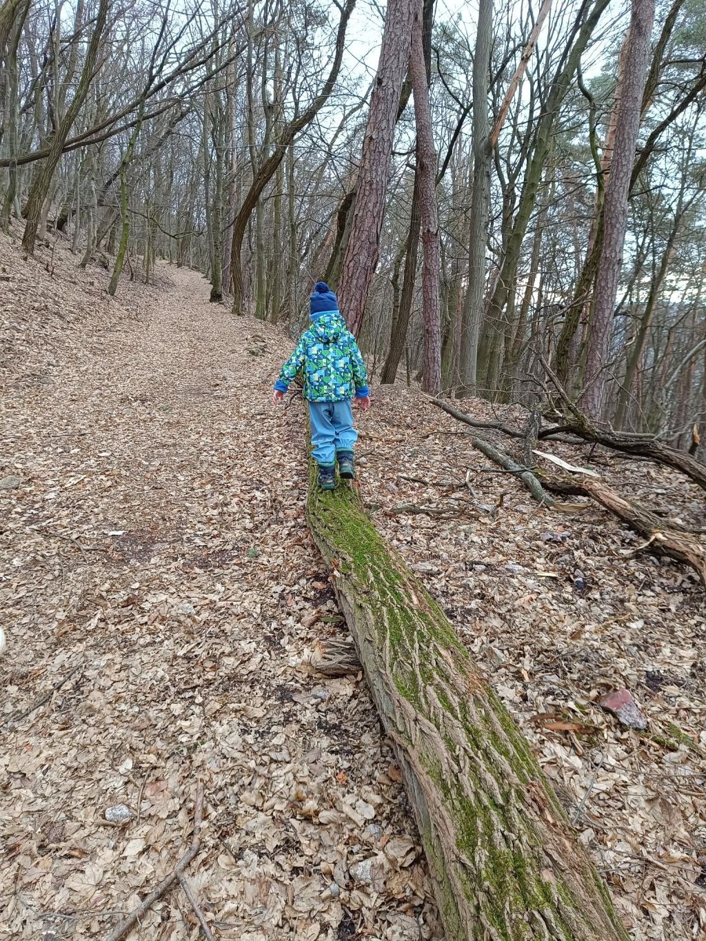 Mining educational path (with&nbsp;David)
