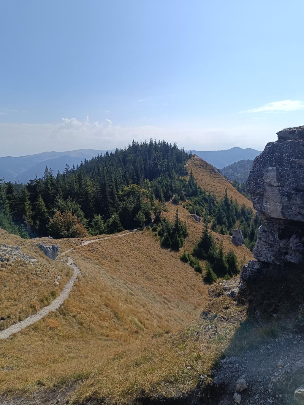 Tlstá, Ostrá