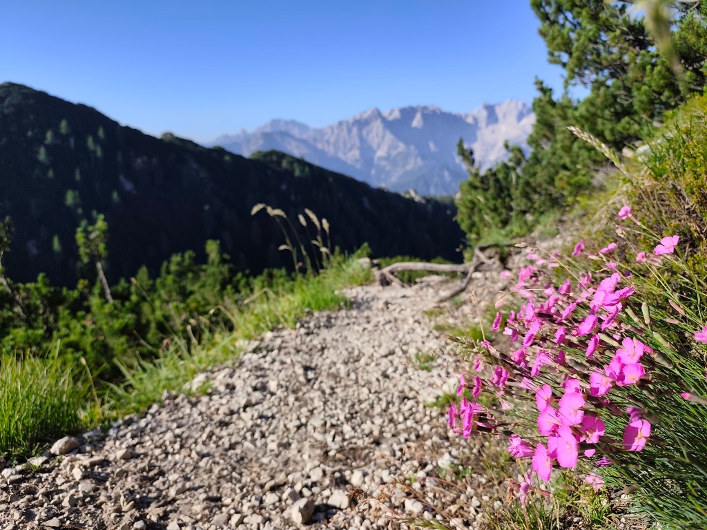 Alpe Adria, third&nbsp;day